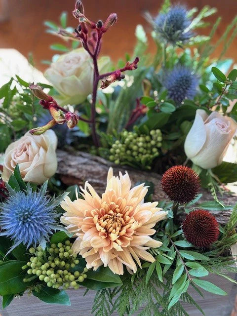 Coastal Garden Arrangement
