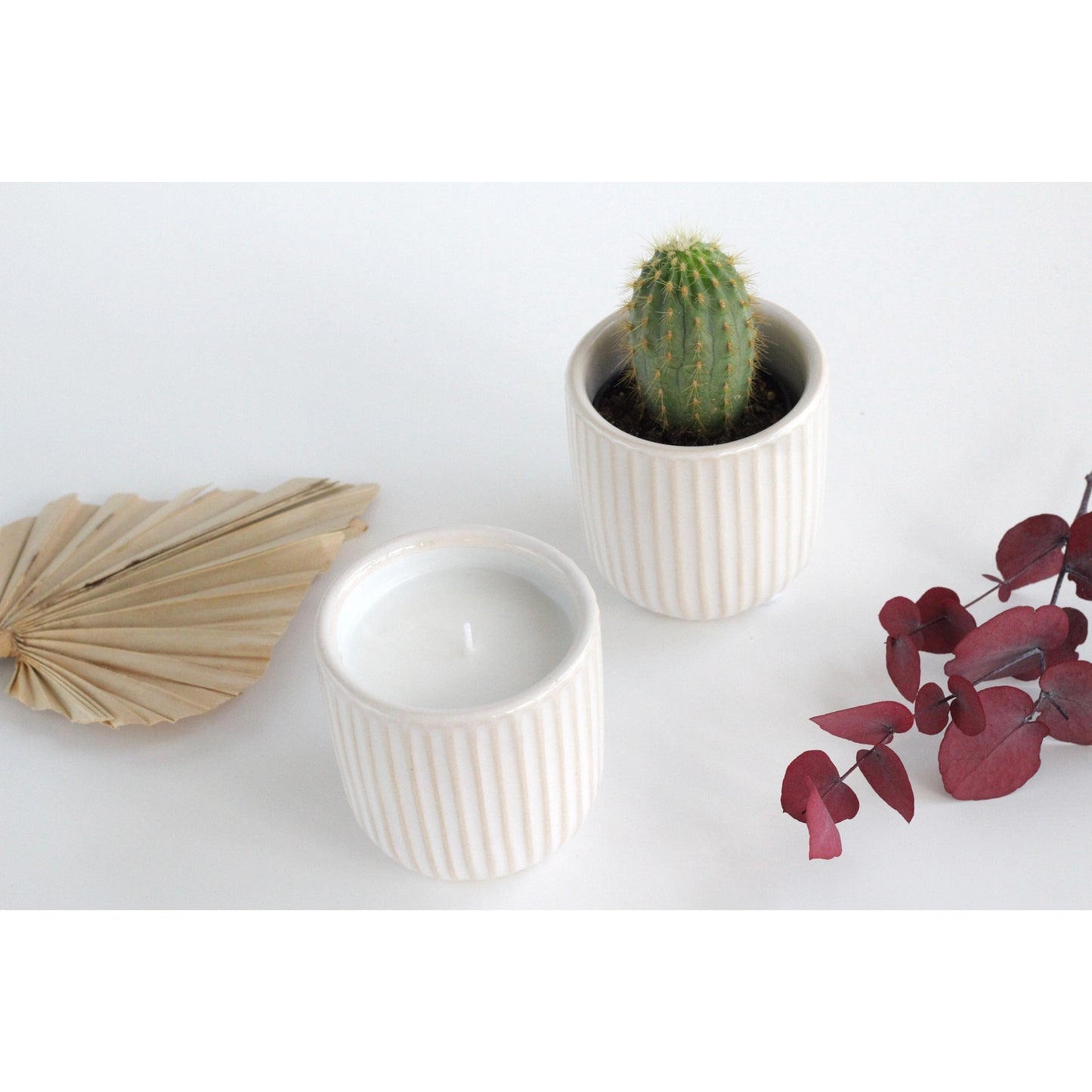 Sprout & About - Light & Grow Candles