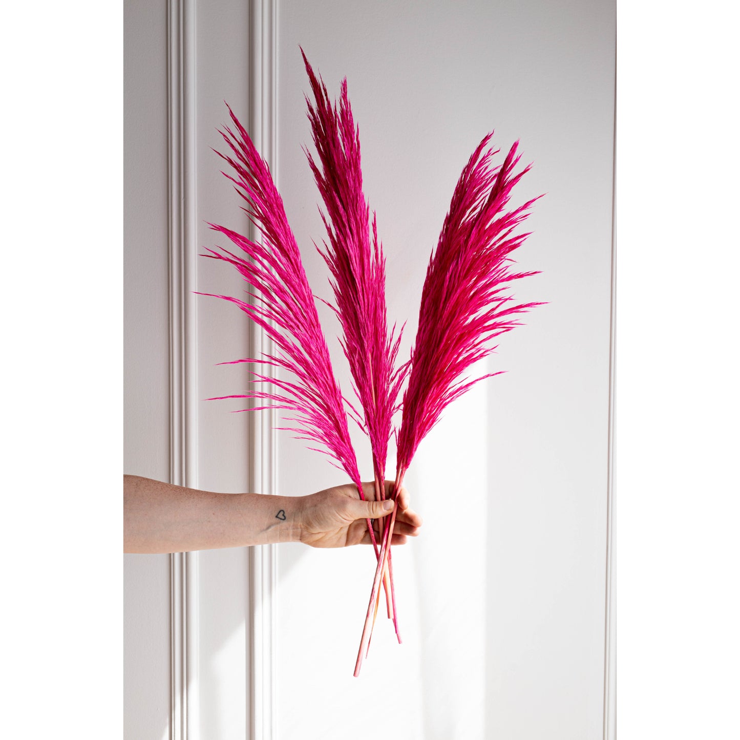 Luxe B. - Pampas Grass