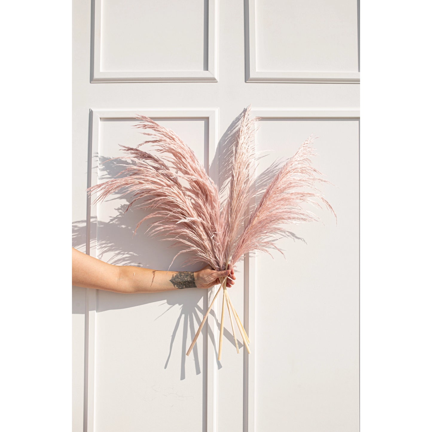 Luxe B. - Pampas Grass