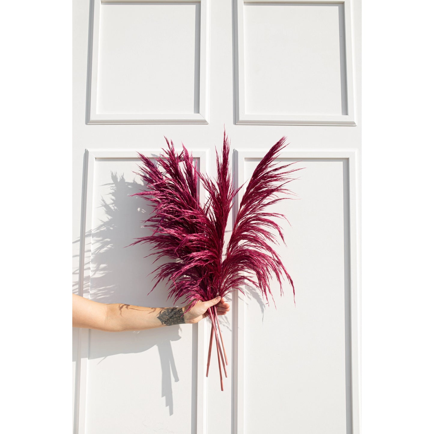 Luxe B. - Pampas Grass