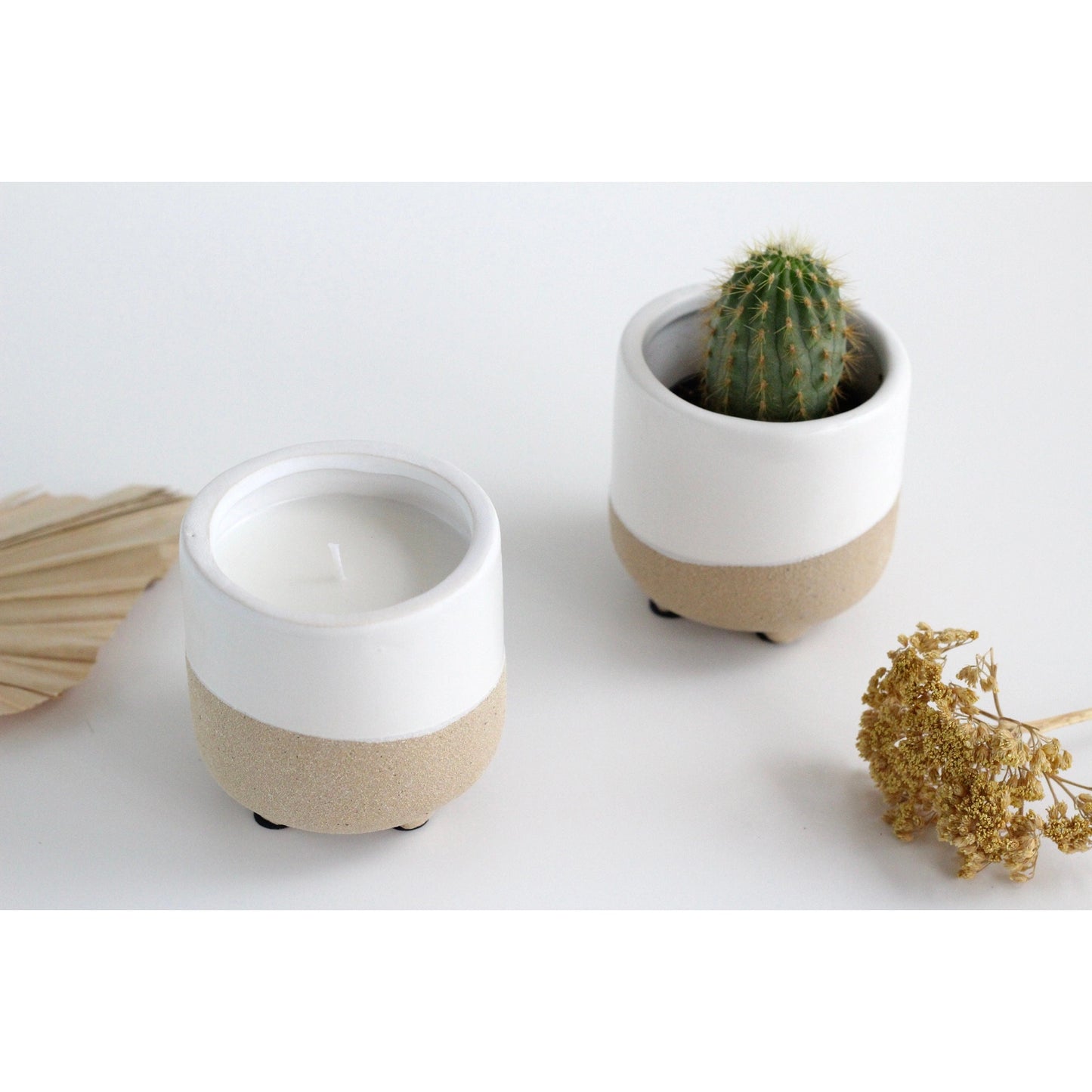 Sprout & About - Light & Grow Candles