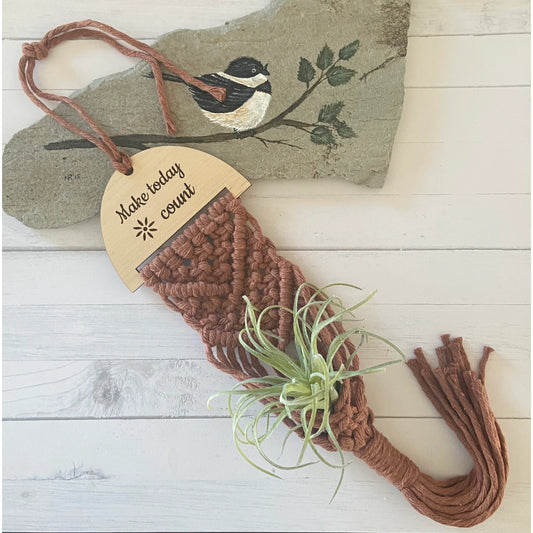 Chickadee Creations - Macrame Air Plant Hanger