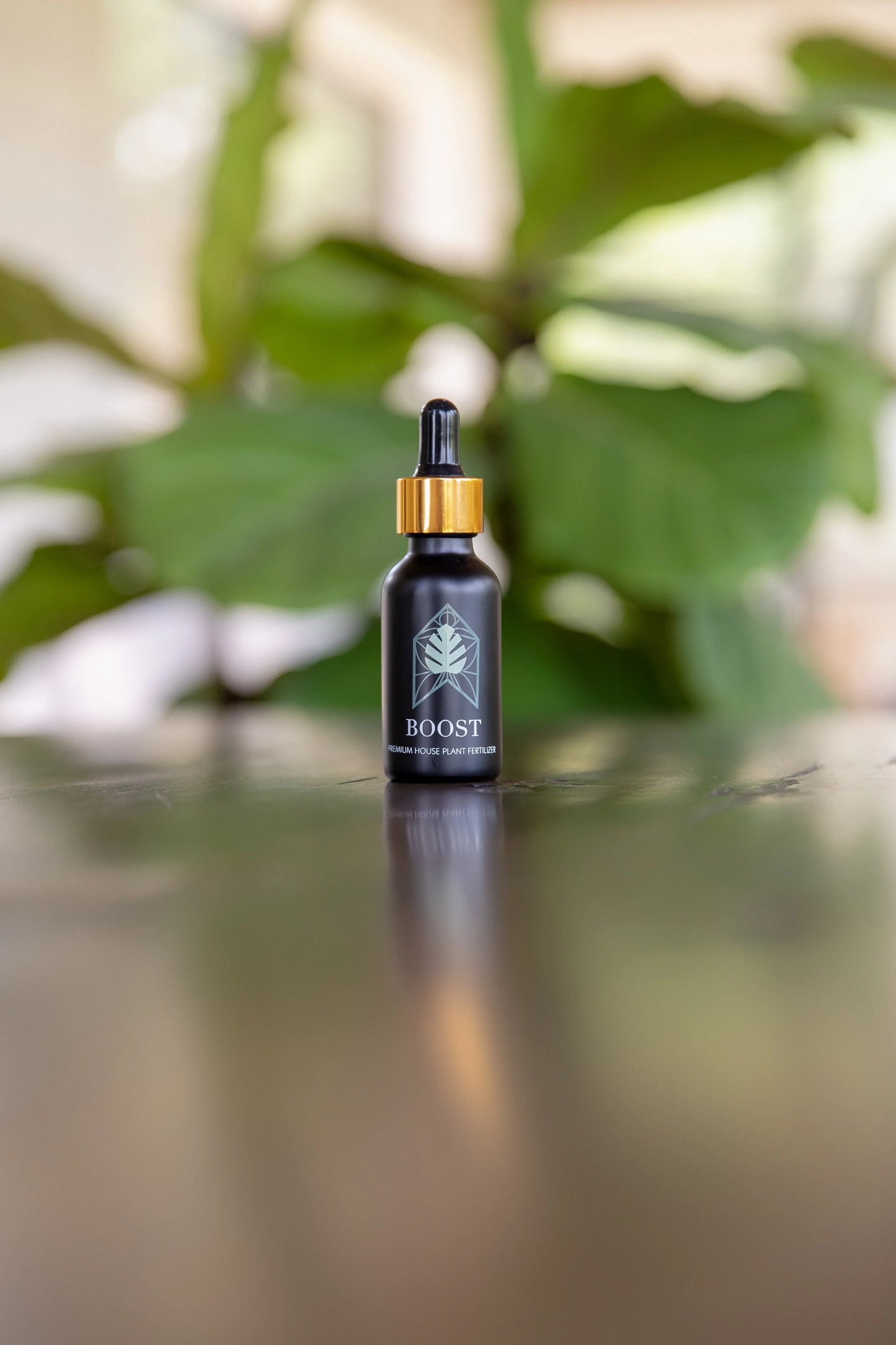 Plant Vitamins