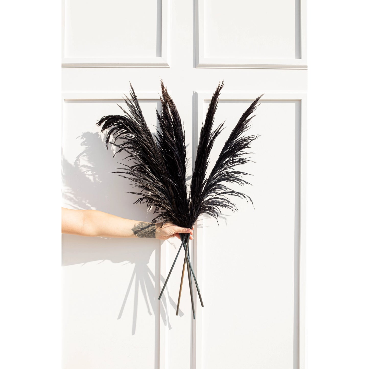 Luxe B. - Pampas Grass