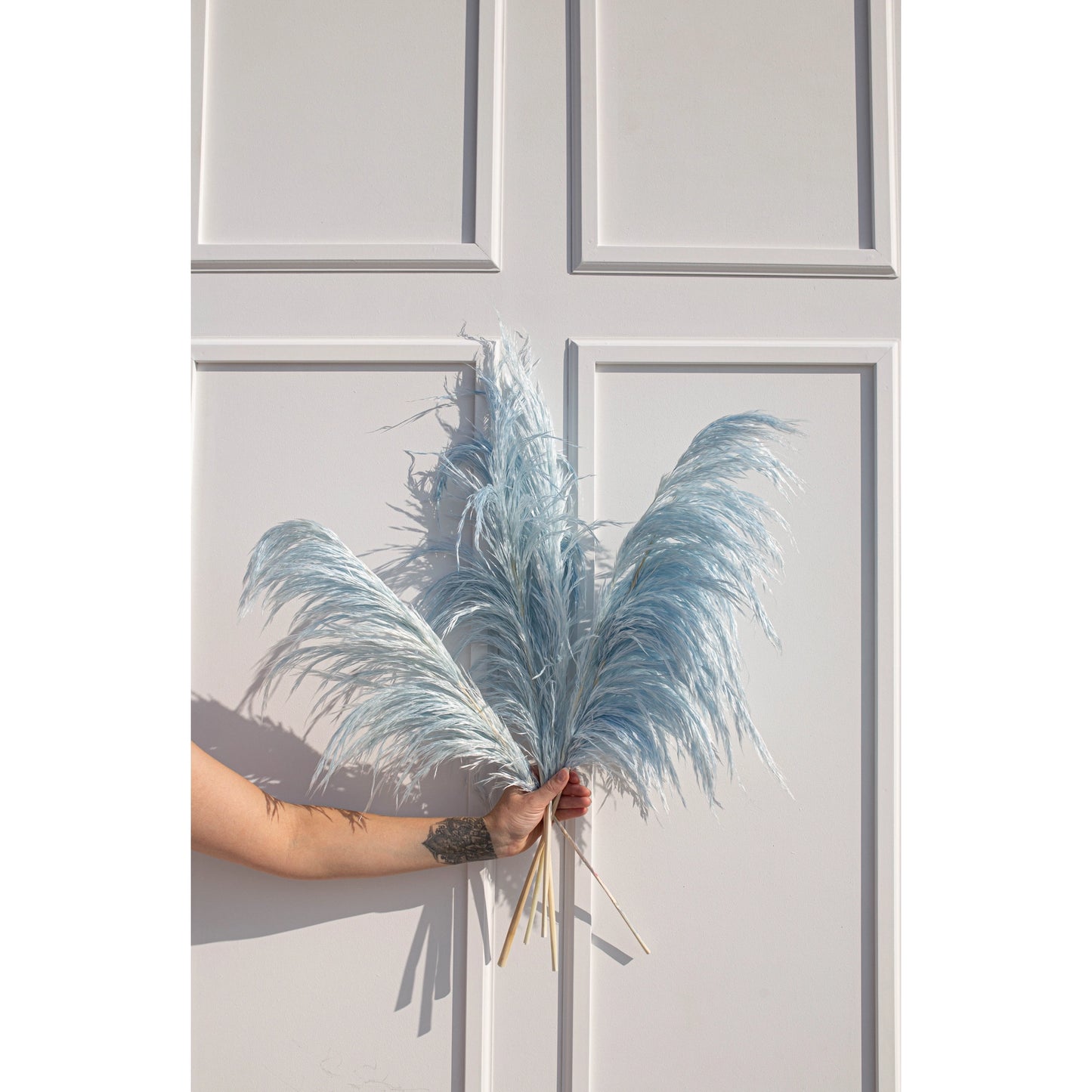 Luxe B. - Pampas Grass