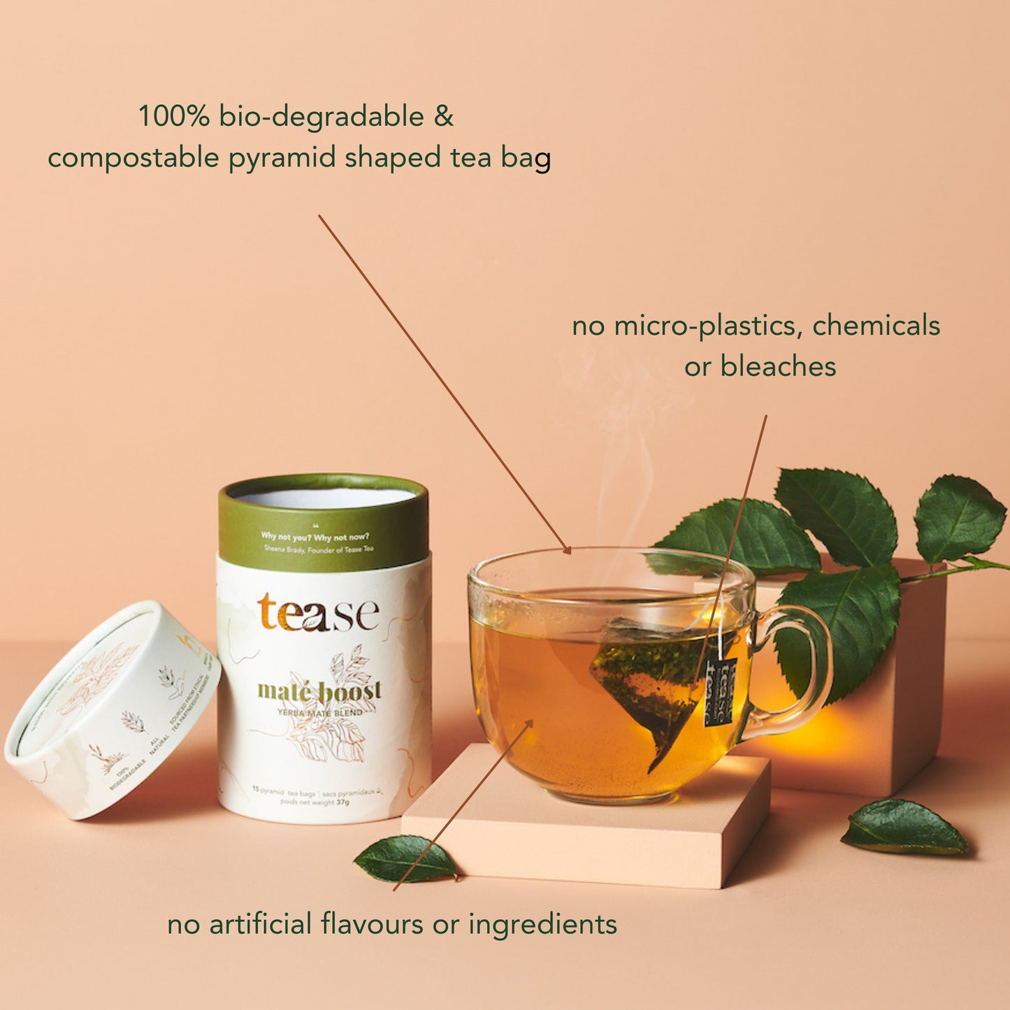 Tease Wellness - Pyramid Tea Bags