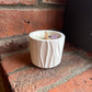 Serenita Candle Company