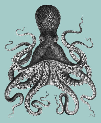 Skookum Prints-Octopus