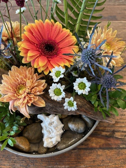 Coastal Garden Arrangement