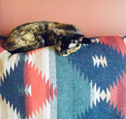 Modest Maverick - Tofino Beach Blankets