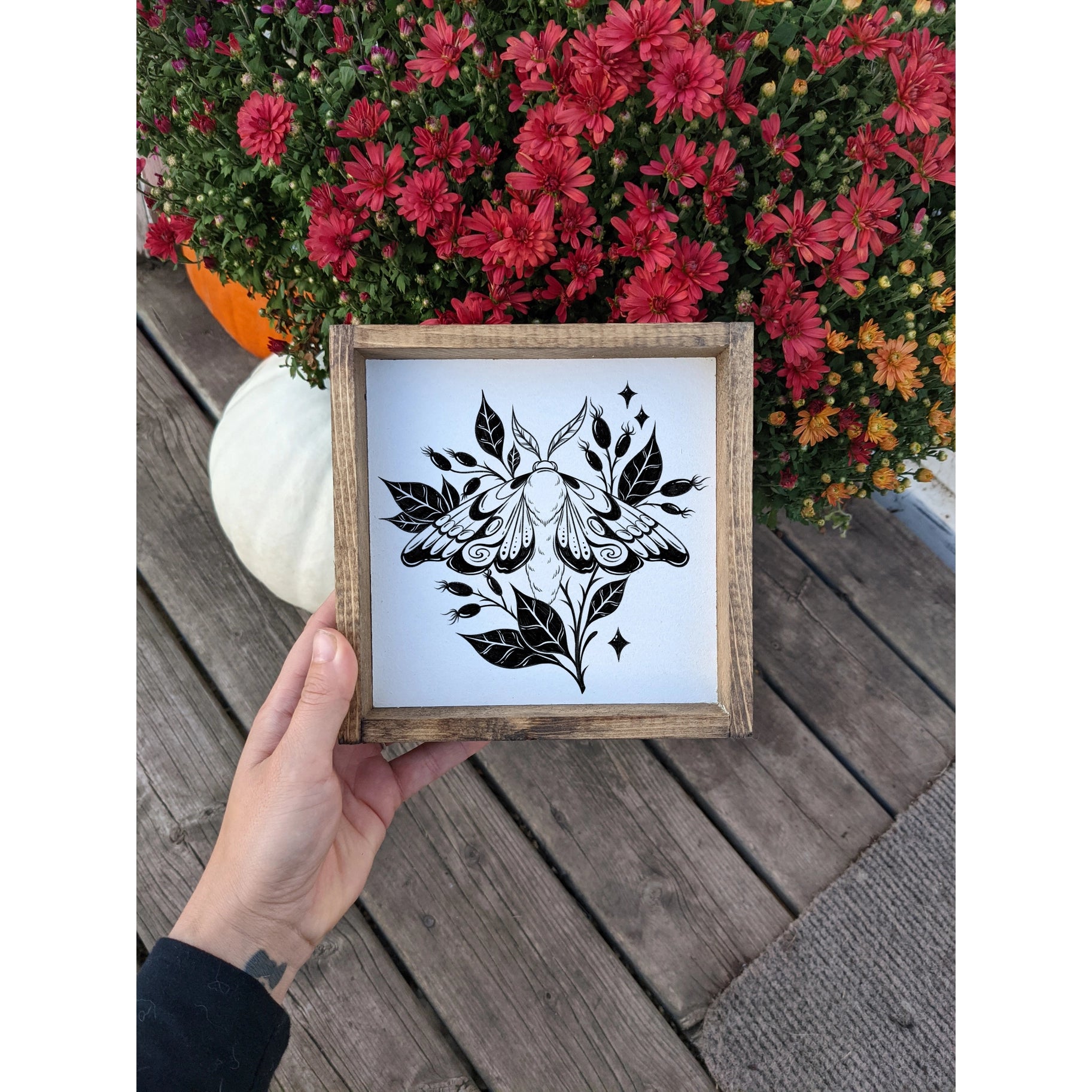 Williamraedesigns - Luna Moth – Willow & Orchid Boutique and Floral Design