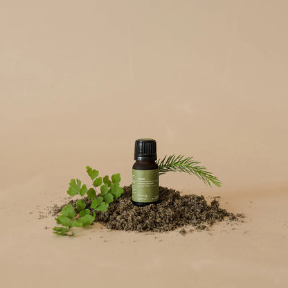 Fern & Petal Essential Oil Blends