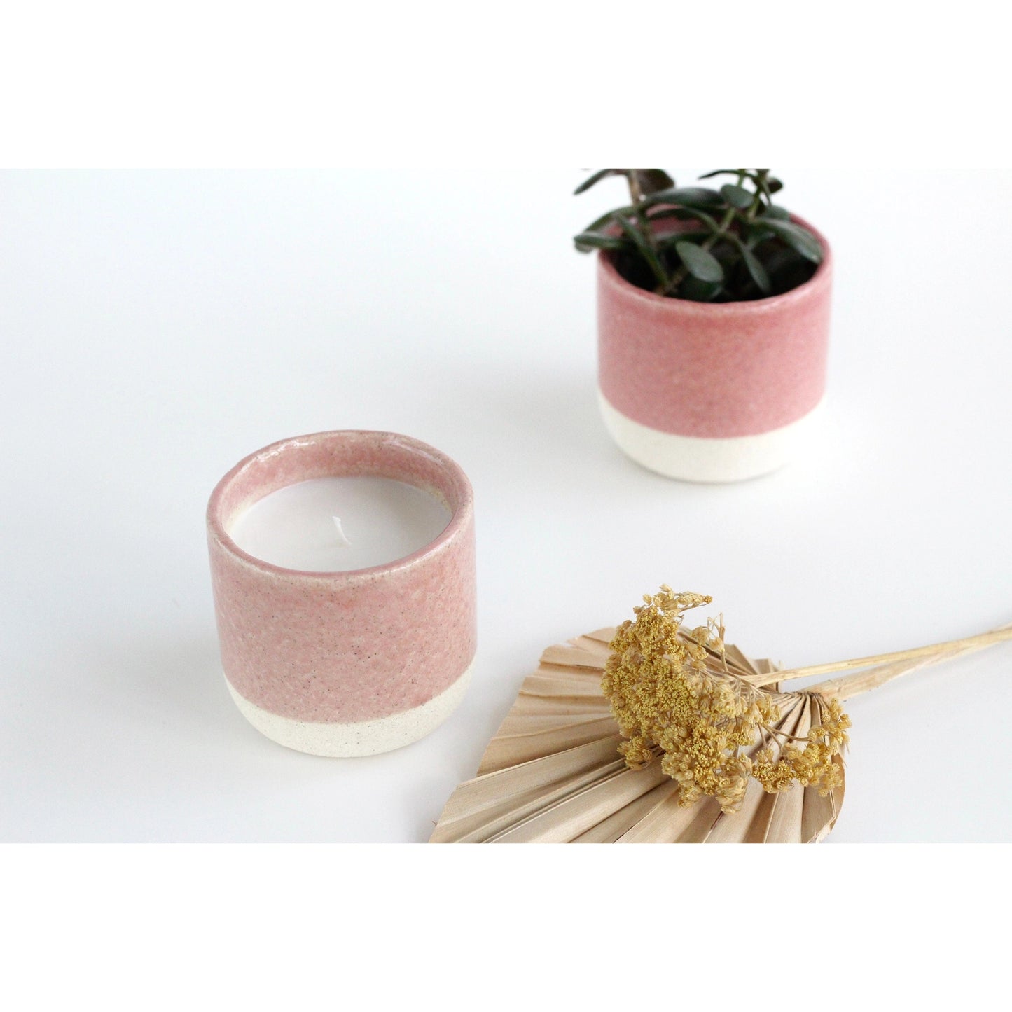 Sprout & About - Light & Grow Candles
