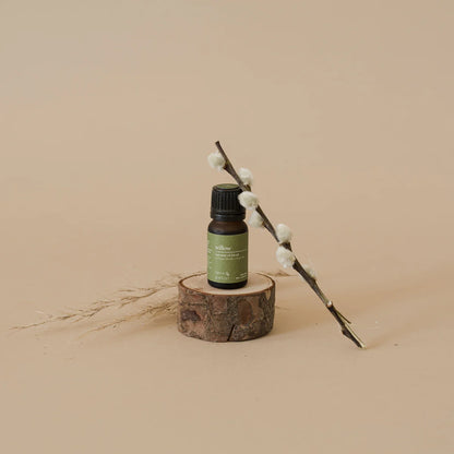 Fern & Petal Essential Oil Blends